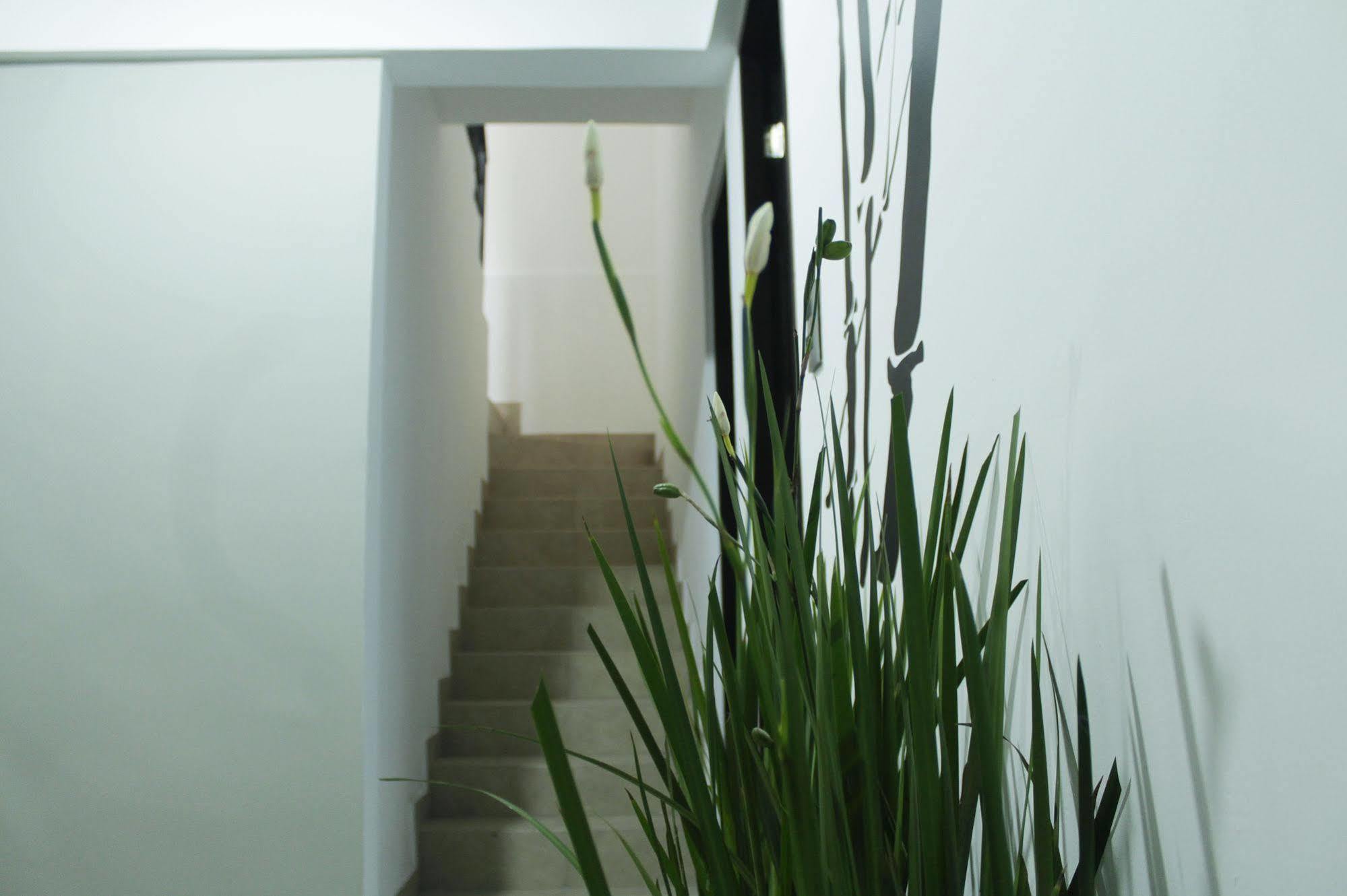 Hostal Be Condesa Мексико Сити Екстериор снимка